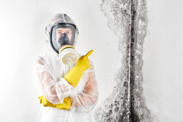 Forensic Mold Investigation in Loma Linda, CA