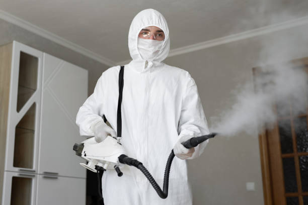 Why You Should Choose Our Mold Remediation Services in Loma Linda, CA